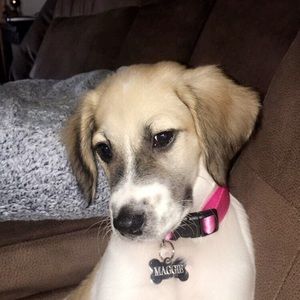 Meet your Posher, Ryen